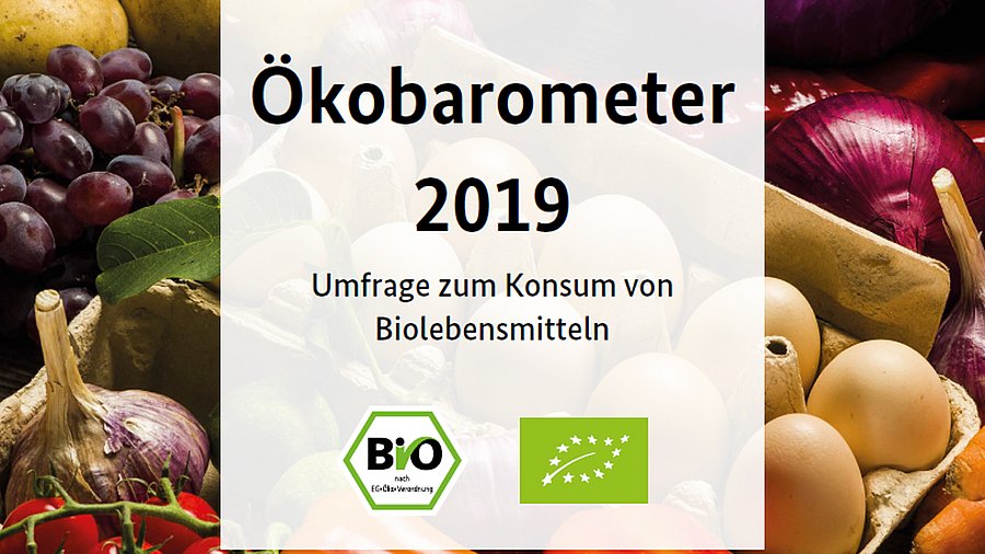 Cover des Ökobarometer 2019