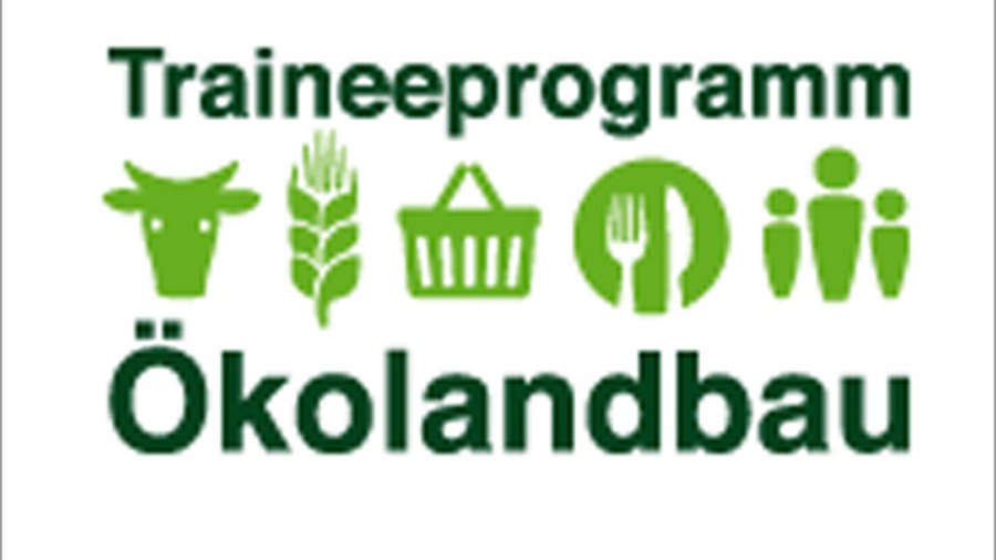 Logo Traineeprogramm